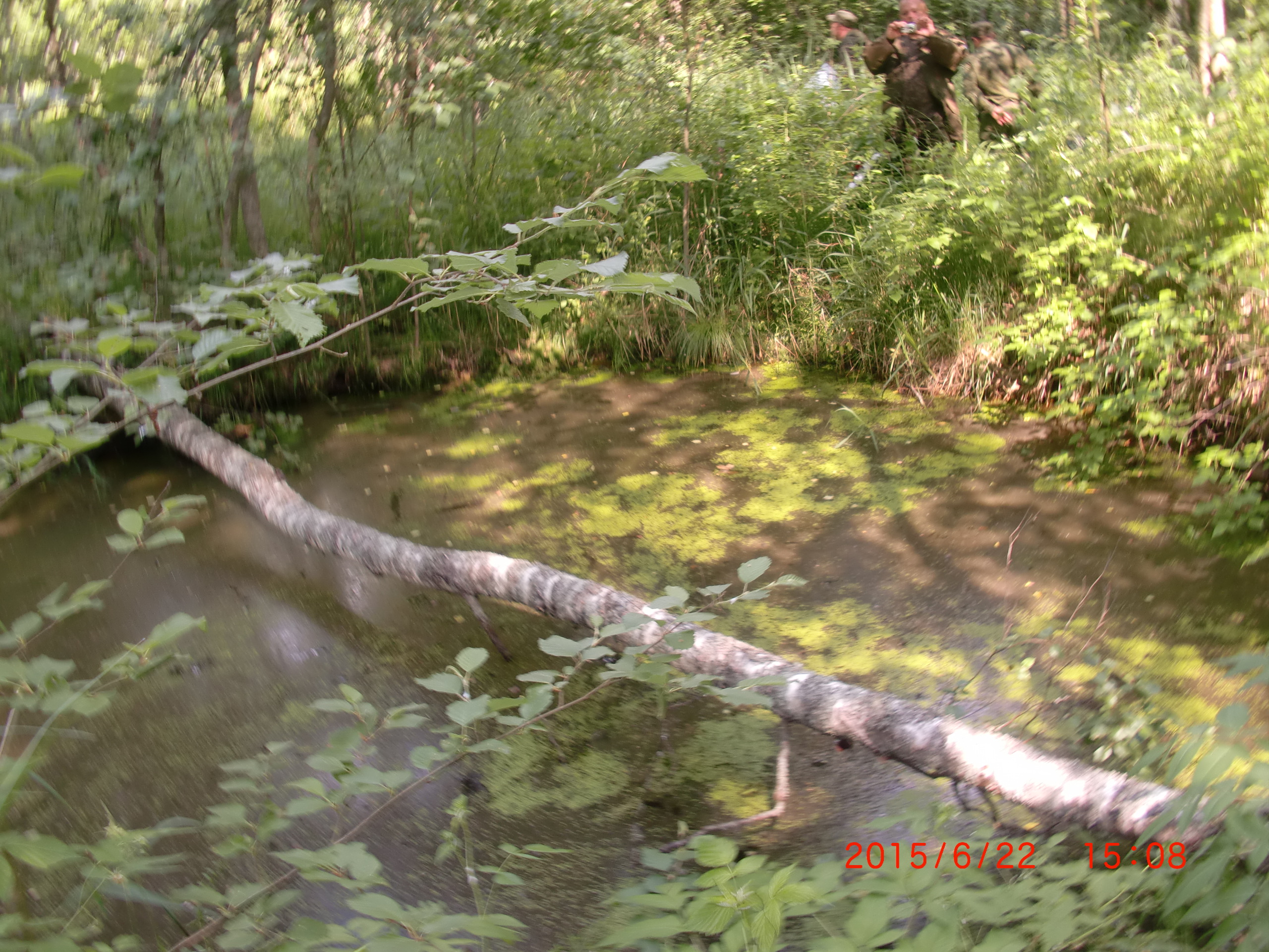 CIMG8717 - Copy.JPG
