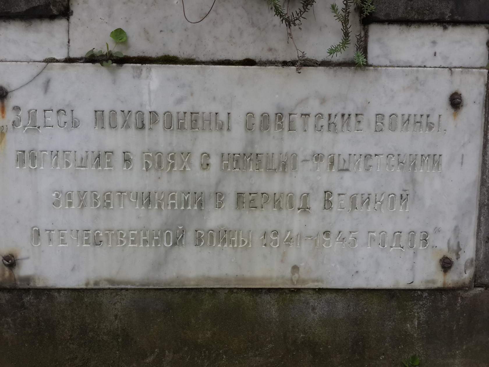 image (1).jpg