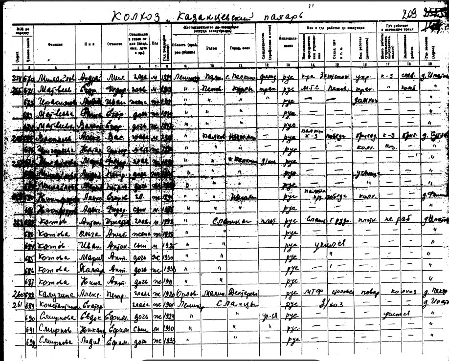 31.jpg