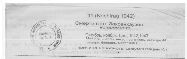 шапка.jpg