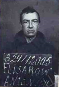 ЕЛИЗАРОВ А.Е..jpg