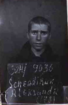 ШЕНДЕРЮК А.В..jpg