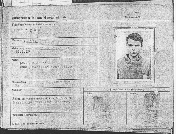 СТРОГАН.jpg