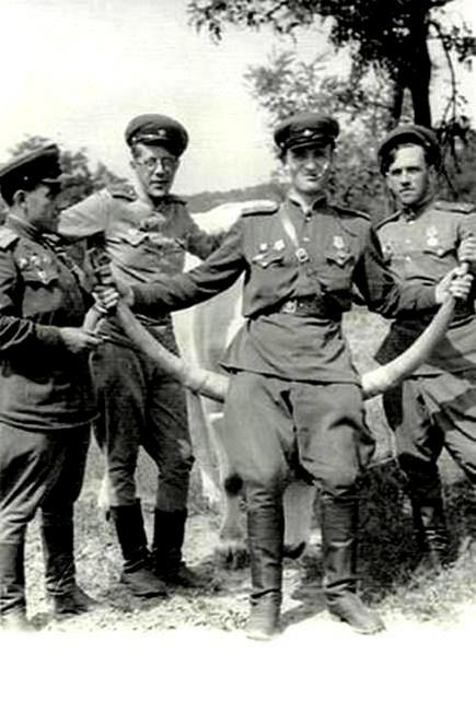 Засеев........jpg